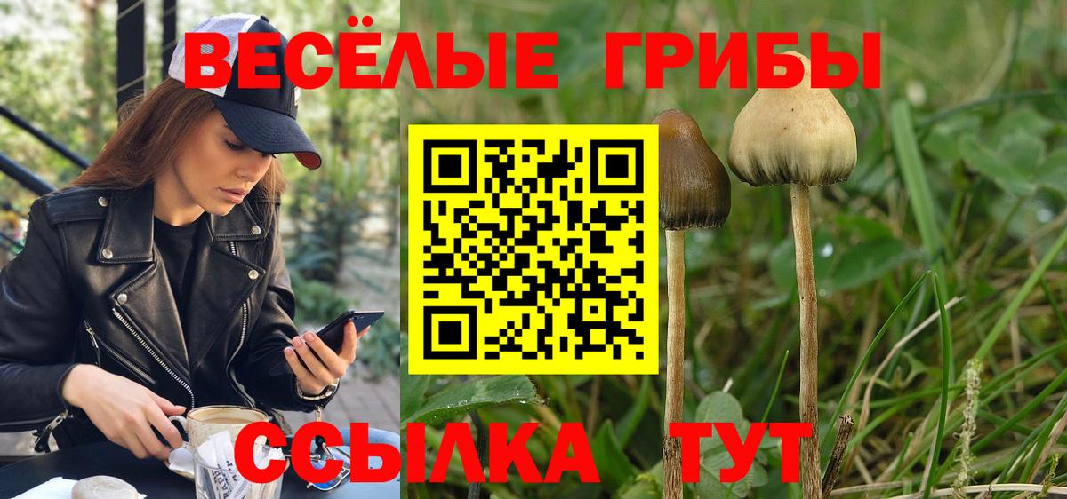 Псилоцибиновые грибы MAGIC MUSHROOMS Кинешма