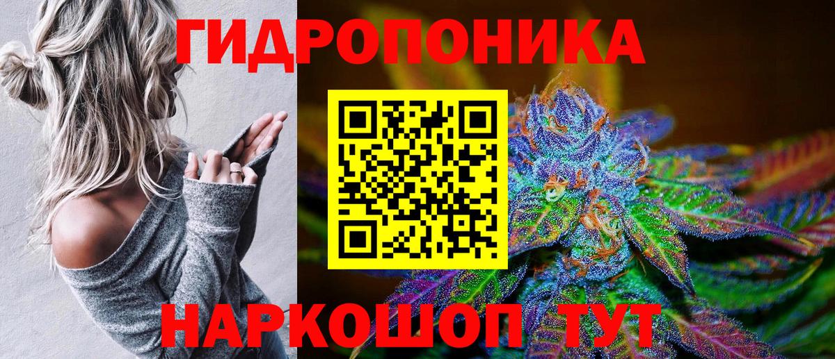 Конопля конопля Кинешма